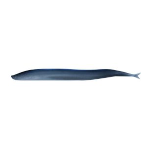 Gulp! Saltwater Sand Eel