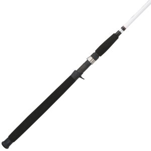 Big Game  Casting Rod