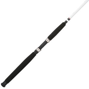 Big Game Spinning Rod