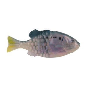 PowerBait  Saltwater Gilly